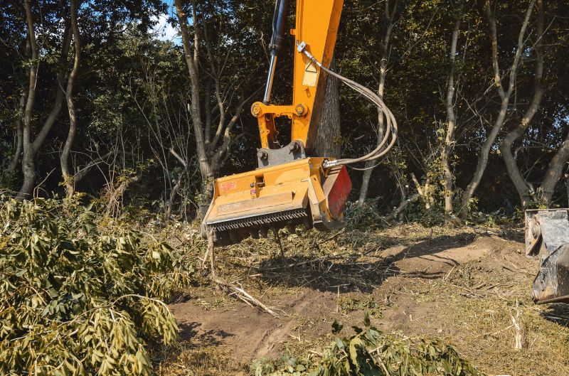 Brush Cleanup Equipment in Action