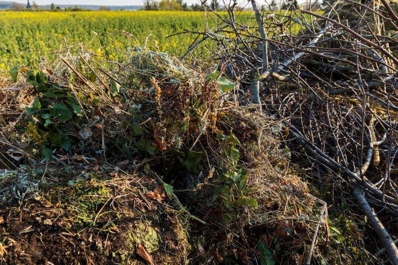 Brush Disposal Methods