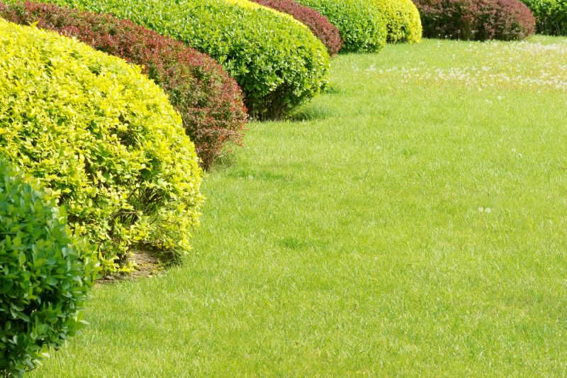 Red Mulch Installation in Honolulu, HI